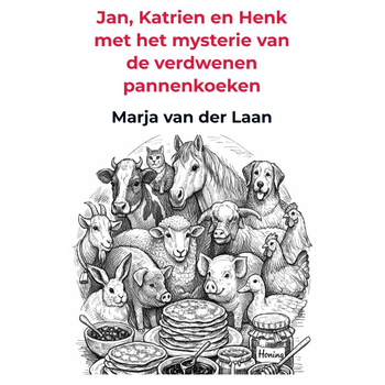 Jan, Katrien en Henk met het mysterie van de verdwenen pannenkoeken (Paperback) bij Singel 344