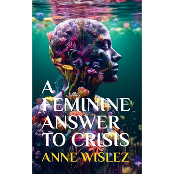 A Feminine Answer to Crisis (Paperback) bij Singel 344