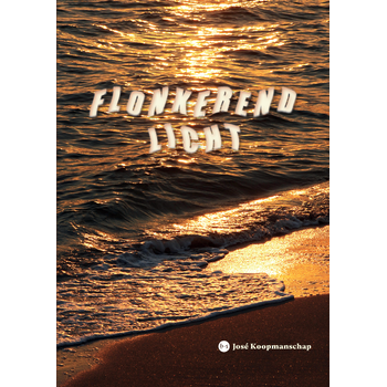 Flonkerend licht (Paperback) bij Singel 344