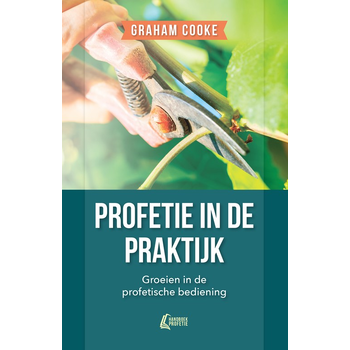 Profetie in de praktijk (Paperback) bij Singel 344