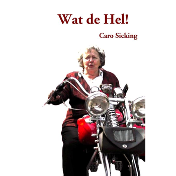 Wat de Hel! (Paperback) bij Singel 344