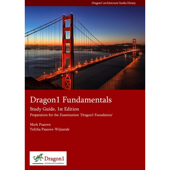 Dragon1 fundamentals (Paperback) bij Singel 344