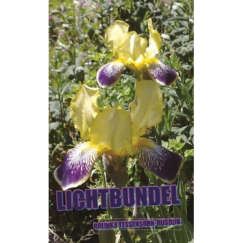 Lichtbundel (Hardback) bij Singel 344
