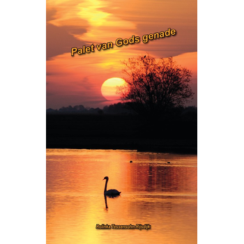 Palet van Gods genade (Paperback) bij Singel 344