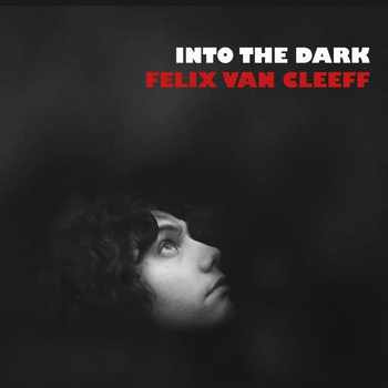 Into the dark (Audio CD) bij Singel 344