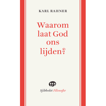 Waarom laat God ons lijden? (Paperback) bij Singel 344