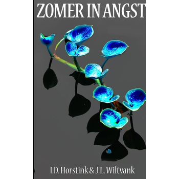 Zomer in Angst (Paperback) bij Singel 344