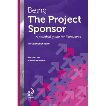 Being the project sponsor (Paperback) bij Singel 344
