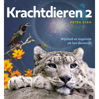 2 (Paperback) bij Singel 344