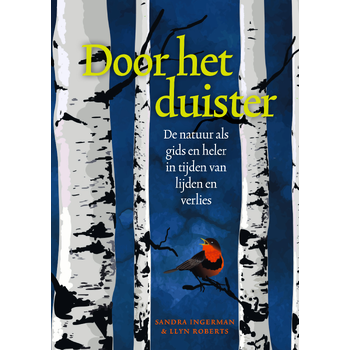 Door het duister (Paperback) bij Singel 344