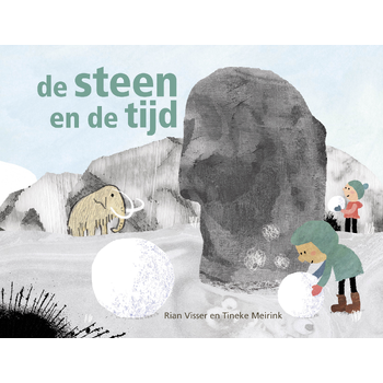 De steen en de tijd (Hardback) bij Singel 344