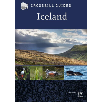 Iceland (Paperback) bij Singel 344