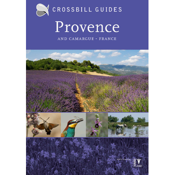Provence and Camargue (Paperback) bij Singel 344