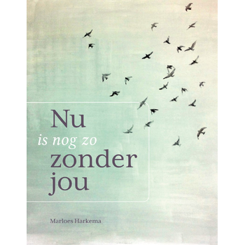Nu is nog zo zonder jou (Paperback) bij Singel 344