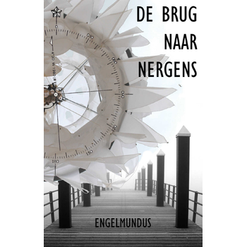 De brug naar nergens (Paperback) bij Singel 344