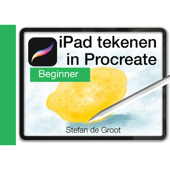 iPad tekenen in Procreate (Spiral bound) bij Singel 344
