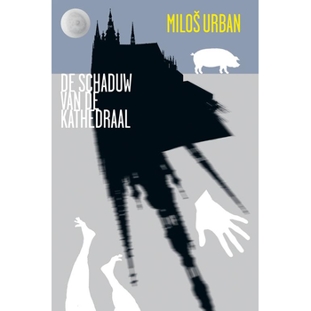 De schaduw van de kathedraal (Paperback) bij Singel 344