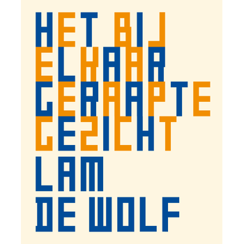 Het bij elkaar geraapte gezicht (Paperback) bij Singel 344