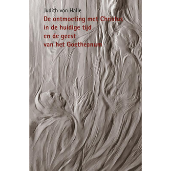 De ontmoeting met Christus in de huidige tijd en de geest van het Goetheanum (Hardback) bij Singel 344