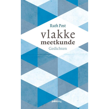 Vlakke meetkunde (Paperback) bij Singel 344