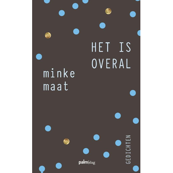 Het is overal (Paperback) bij Singel 344