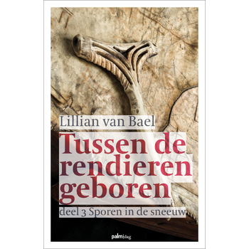 Sporen in de sneeuw (Paperback) bij Singel 344
