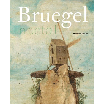 Bruegel in detail (Hardback) bij Singel 344