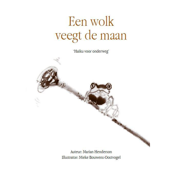 Een wolk veegt de maan (Paperback) bij Singel 344