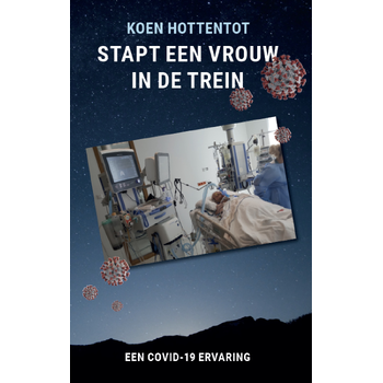 Stapt een vrouw in de trein (Paperback) van Koen Hottentot