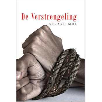 De verstrengeling (Paperback) bij Singel 344
