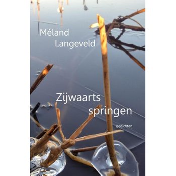Zijwaarts springen (Paperback) bij Singel 344