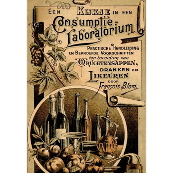 Een kijkje in een consumptie-laboratorium (Paperback) bij Singel 344