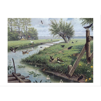 In de weide bij Singel 344