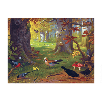 Schoolplaat Boschvogels bij Singel 344