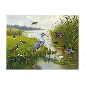 Schoolplaat Water- en Weidevogels bij Singel 344