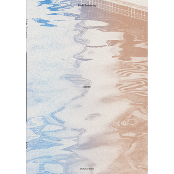 Bron (Paperback) bij Singel 344
