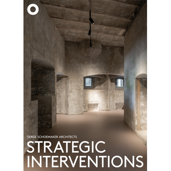 Strategic Interventions (Paperback) bij Singel 344