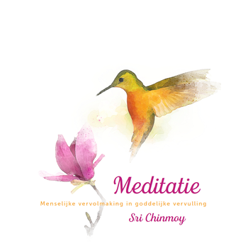 Meditatie (Paperback) bij Singel 344