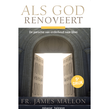 Als God renoveert (Paperback) bij Singel 344