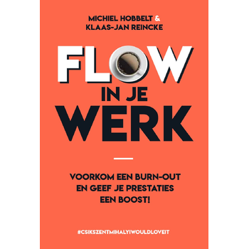 Flow in je werk (Paperback) bij Singel 344