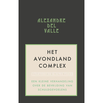 Het avondlandcomplex (Paperback) bij Singel 344