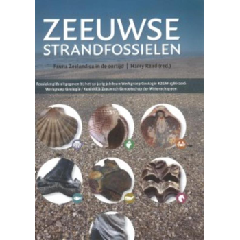 Zeeuwse strandfossielen (Paperback) bij Singel 344