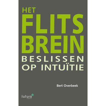 Het flitsbrein (Paperback) bij Singel 344