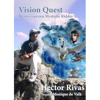 Vision quest (Paperback) bij Singel 344