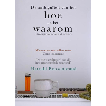 De ambiguïteit van het hoe en het waarom (Paperback) bij Singel 344