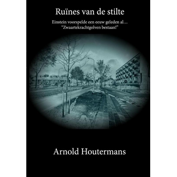 Ruïnes van de stilte (Paperback) bij Singel 344
