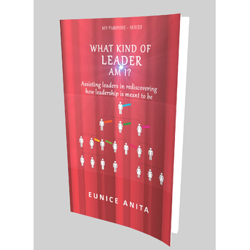What kind of leader am I? (Paperback) bij Singel 344