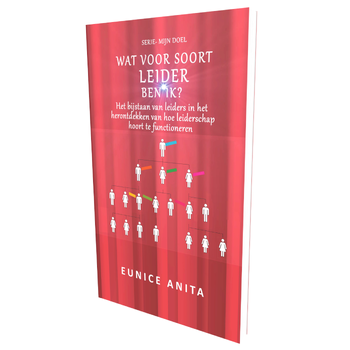 Wat voor soort leider ben IK? (Paperback) bij Singel 344