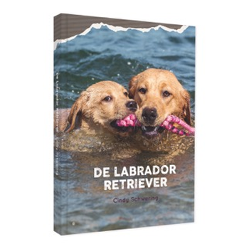 De Labrador Retriever (Hardback) bij Singel 344