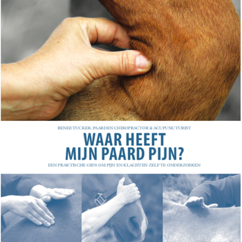 Waar heeft mijn paard pijn? (Paperback) bij Singel 344